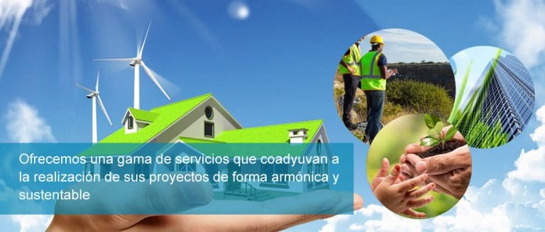 Ingeniero Ambiental: Qué Es, Perfil, Funciones, Campo Laboral Y Más