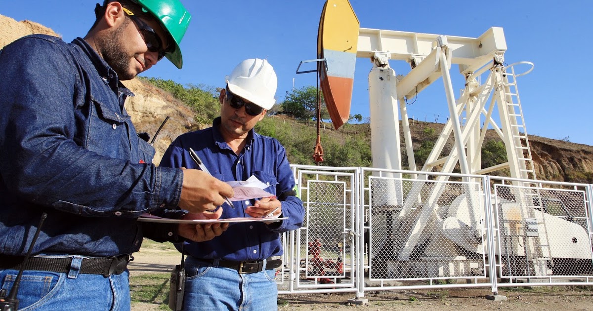 ingeniería petroquímica