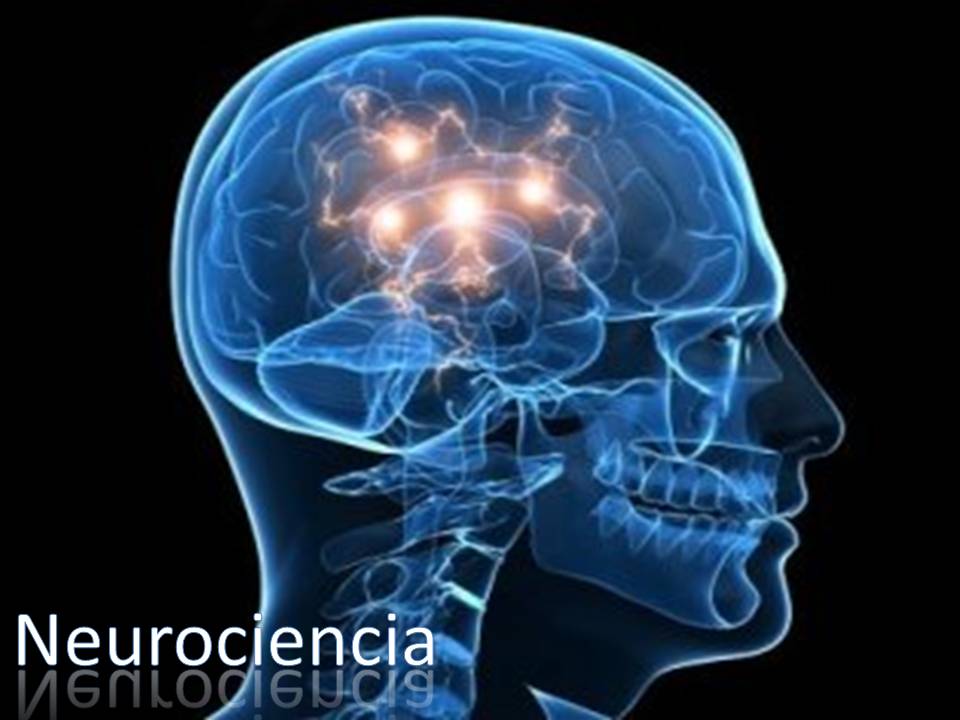 Neurología Cognitiva Características Y Todo Lo Que Debes Saber 9568