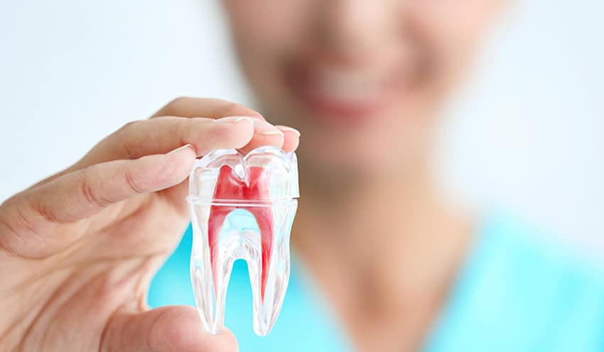 Endodoncista Todo Lo Que Debes Saber Sobre La Carrera
