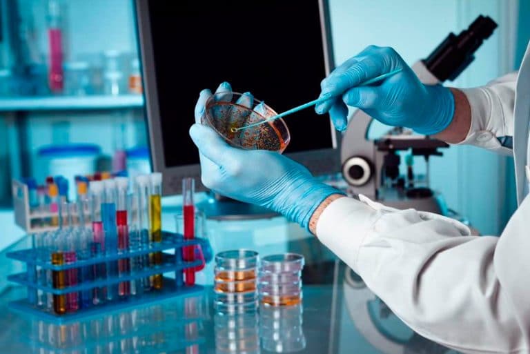 Microbiología: Qué es, importancia, plan de estudios y más