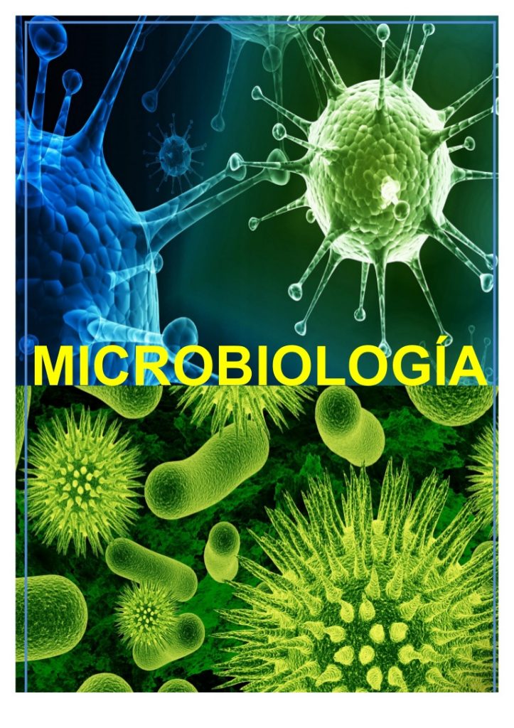 Microbiolog A Qu Es Importancia Plan De Estudios Y M S