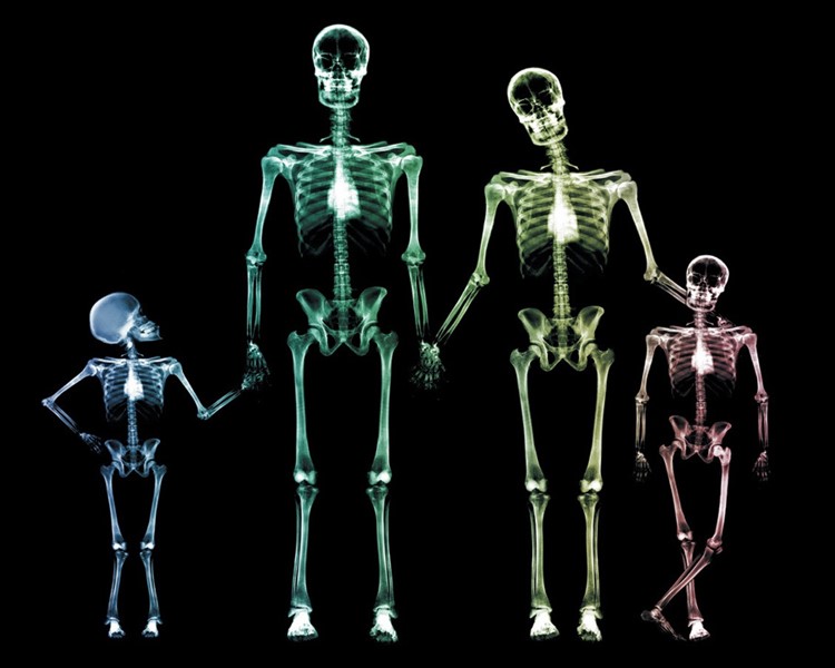 Radiología: Qué es, carrera características y mucho más